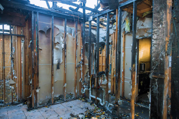 Professional Fire Damage Removal technician working in Princeton, WI